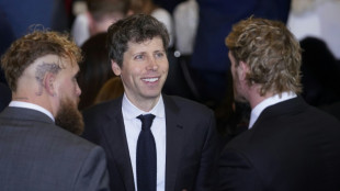 Boom or bubble: How long can the AI investment craze last?