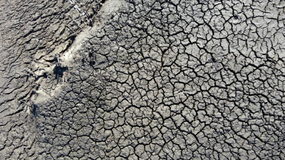 Uruguay prorroga hasta fin de a&ntilde;o emergencia agropecuaria por d&eacute;ficit h&iacute;drico