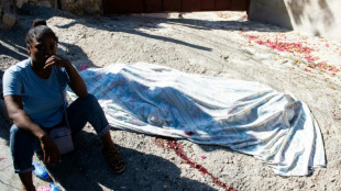 Ha&iuml;ti: 28 membres de gangs tu&eacute;s par la police et des habitants