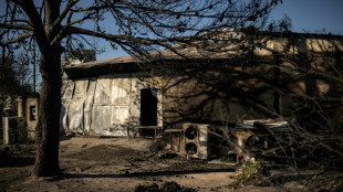 Sid&eacute;ration et d&eacute;solation sur les lieux du premier d&eacute;c&egrave;s caus&eacute; par les incendies en Gr&egrave;ce