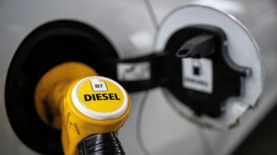 Germans head to Polish pumps as oil price bites