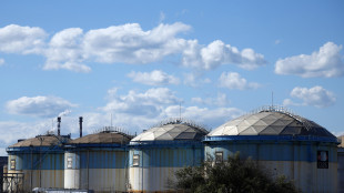 Il petrolio chiude in calo a New York, a 88,21 dollari