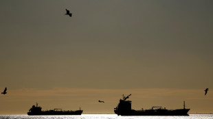 Iran, 'non abbiamo eccedenze di greggio da offrire ai mercati globali'