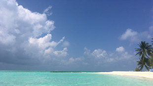 Media Maldive, 'morto il sub che cercava i corpi degli italiani'