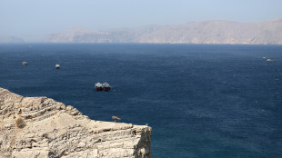 Pasdaran, 'agiremo severamente con le navi militari che transitano a Hormuz'