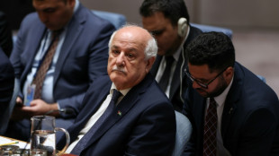 Los palestinos en la ONU piden a Trump detener los proyectos israel&iacute;es de anexi&oacute;n
