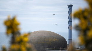 France's most powerful nuclear reactor finally comes on stream