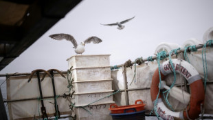 Fangverbot f&uuml;r Hering: EU will Ausnahme f&uuml;r Ostsee-K&uuml;stenfischer aufheben