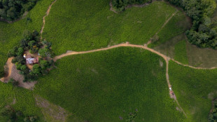 "Ni&ntilde;os traumatizados": El suroeste de Colombia vota marcado por la violencia
