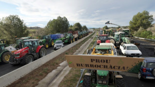 L'autoroute reliant l'Espagne à la France coupée par les agriculteurs