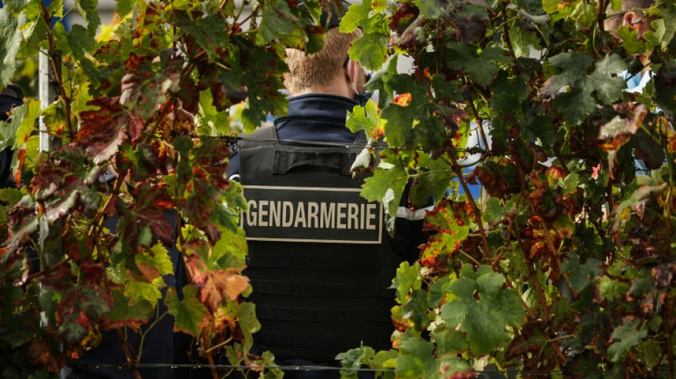 French police bust gang selling fake Bordeaux wine