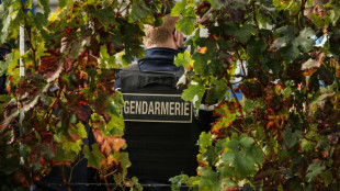 French police bust gang selling fake Bordeaux wine