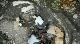 Costa Rica digs up mastodon, giant sloth bones in major archaeological find